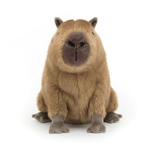 Load image into Gallery viewer, Clyde Capybara
