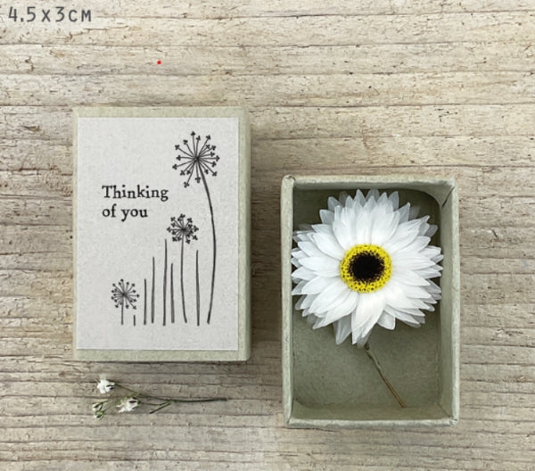 Dried flower matchbox-Thinking of you