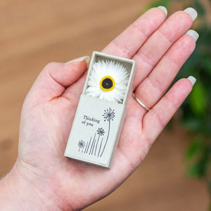 Dried flower matchbox-Thinking of you