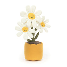 Load image into Gallery viewer, Amuseables Daisy
