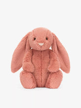 Load image into Gallery viewer, Bashful Sorrel Bunny Original
