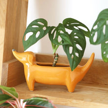 Load image into Gallery viewer, Orange Dachshund Standing Dog Planter

