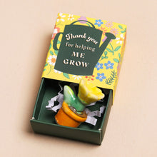 Load image into Gallery viewer, Tiny Matchbox Ceramic Plant Pot token
