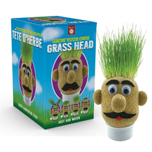 Load image into Gallery viewer, Grass Head
